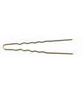 Ari Krulspelden Geribbeld Goud 60mm x 1,2mm 10 Stuks