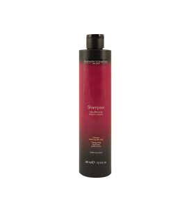 DCM Shampoo After Color 300ml