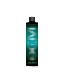 DCM Shampoo Dry Hair 300ml