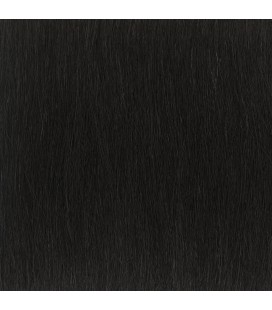 Balmain Clip-In Weft Memory Hair 45cm Dubai 1