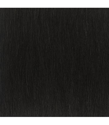 Balmain Clip-In Weft Memory Hair 45cm Dubai 1