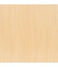 Balmain Tape Extensions + Clip Application 25cm 2pcs 10A