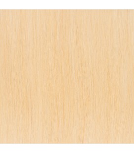 Balmain Backstage Weft Human Hair 40cm 1pcs 10A