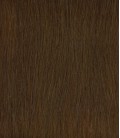 HairXpression 50cm 25pcs 8