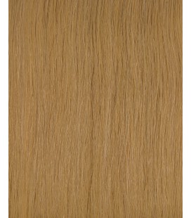 HairXpression 50cm 25pcs 22