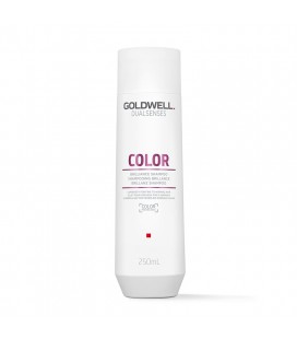 Goldwell Dualsenses Color Brilliance Shampoo 250ml