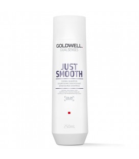 Goldwell Dualsenses Just Smooth Taming Shampoo 250ml