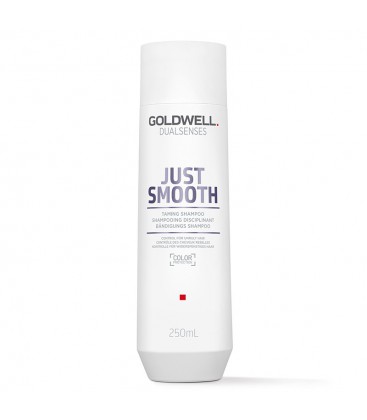 Goldwell Dualsenses Just Smooth Taming Shampoo 250ml