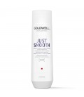 Goldwell Dualsenses Just Smooth Taming Shampoo 250ml