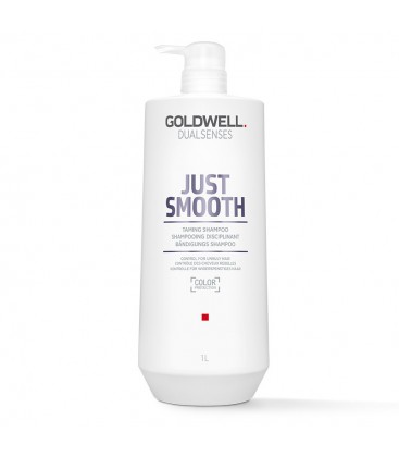 Goldwell Dualsenses Just Smooth Taming Shampoo 1000ml