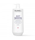 Goldwell Dualsenses Just Smooth Taming Shampoo 1000ml