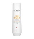 Goldwell Dualsenses Sun Reflects After Sun Shampoo 250ml