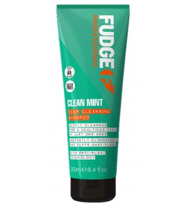 Fudge Clean Mint Shampoo 250ml