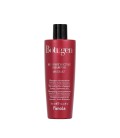 Fanola Botugen Restructing Shampoo 300ml
