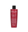 Fanola Botugen Restructing Shampoo 300ml