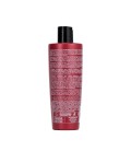 Fanola Botugen Restructing Shampoo 300ml