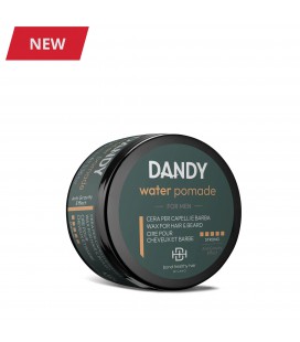 Dandy Water Pomade 100ml