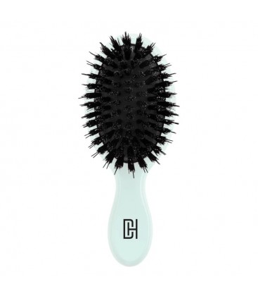 Limited Edition Extension Brush Mini Clearly Aqua 24
