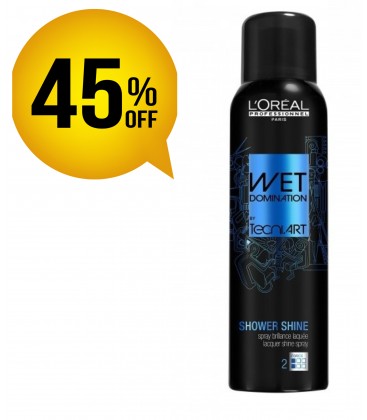 Loreal Tecni.Art Shower Shine 160ml