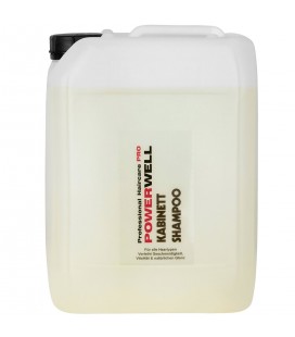 POWERWELL Kristall / Kabinett Shampoo 10 L