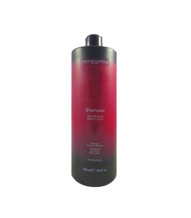 DCM Shampoo After Color 1000ml