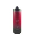 DCM Shampoo After Color 1000ml