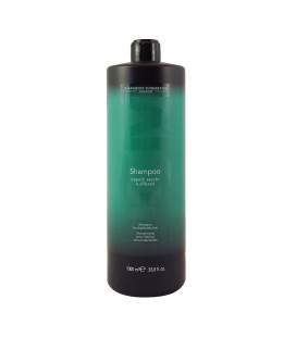 DCM Shampoo Dry Hair 1000ml