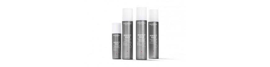 Goldwell Perfect Hold Goldwell Perfect Hold